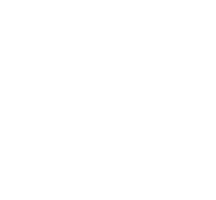 WHYTROPHY WEDDING ROSETTE